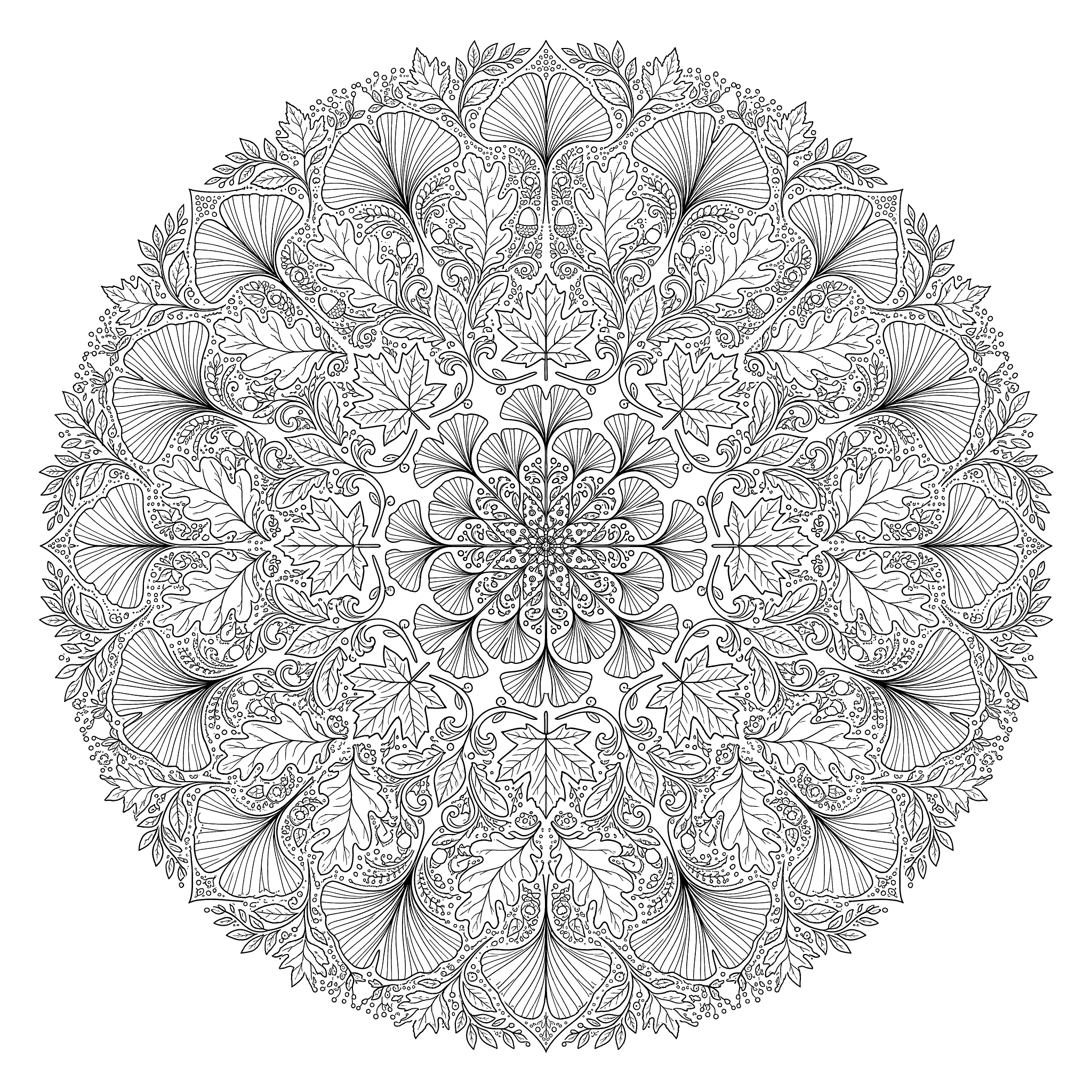 A circular mandala built from symmetrically arranged oak leaves, maple leaves, ginkgo fans, and acorns with fine botanical vein details filling every section