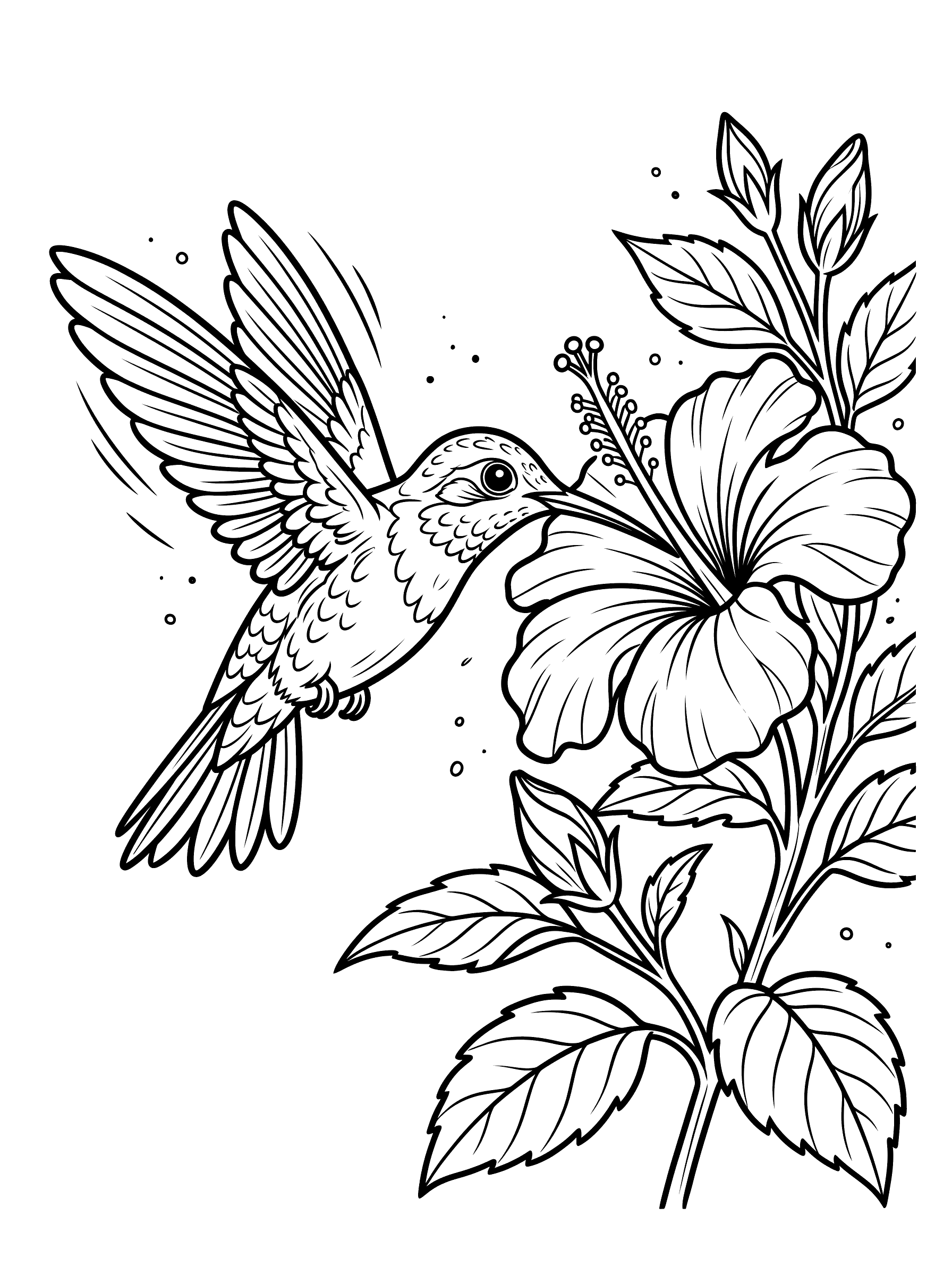 Coloring page of a hummingbird hovering with wings spread wide sipping nectar from a large hibiscus flower with leaves and stem