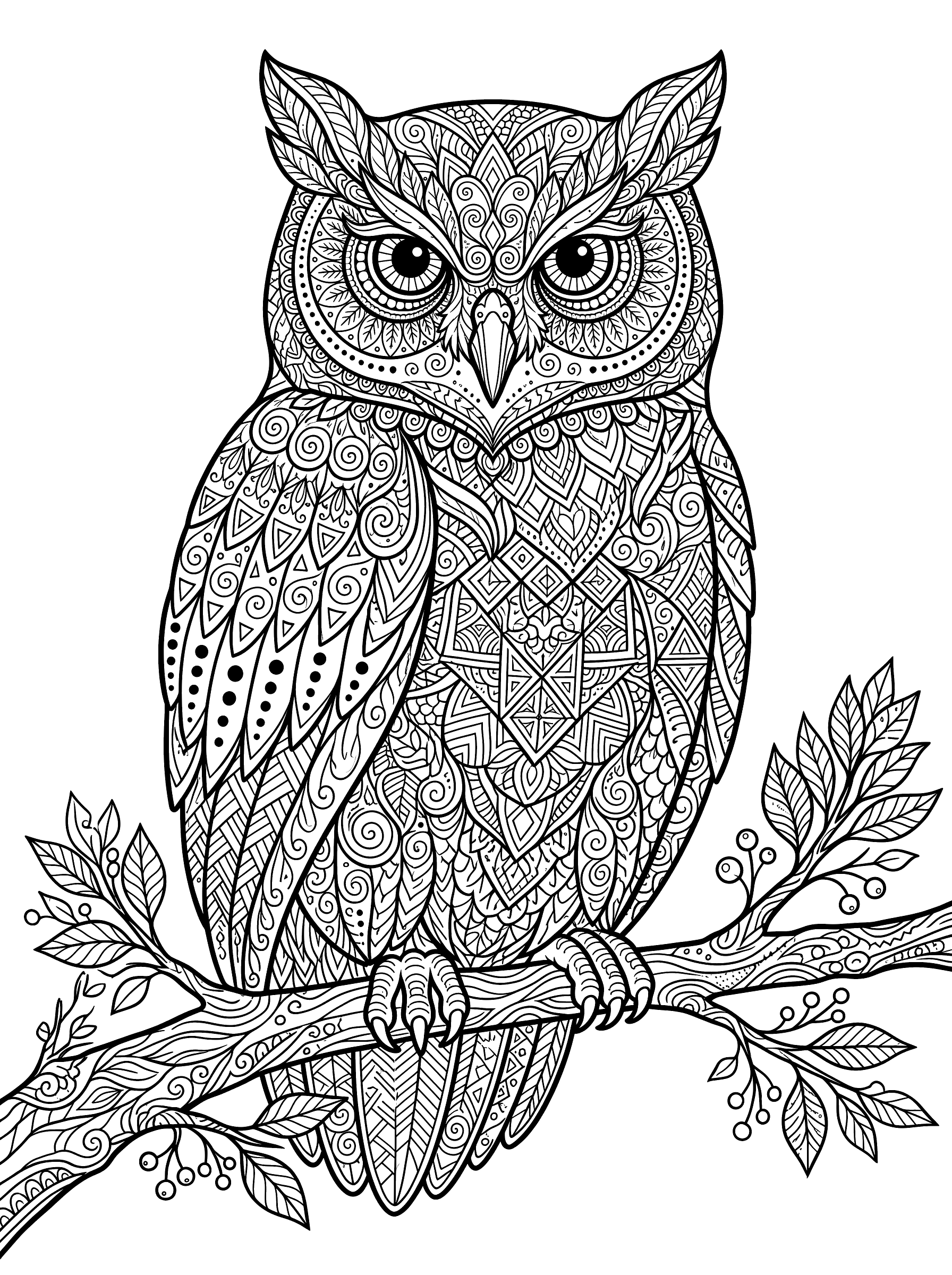 A large owl perched on a branch with its body and wings filled with intricate zentangle patterns including spiral feathers, diamond shapes, triangles, and scrollwork
